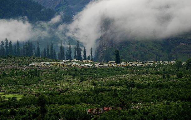 fairy-meadows