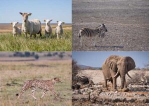 national park road trip